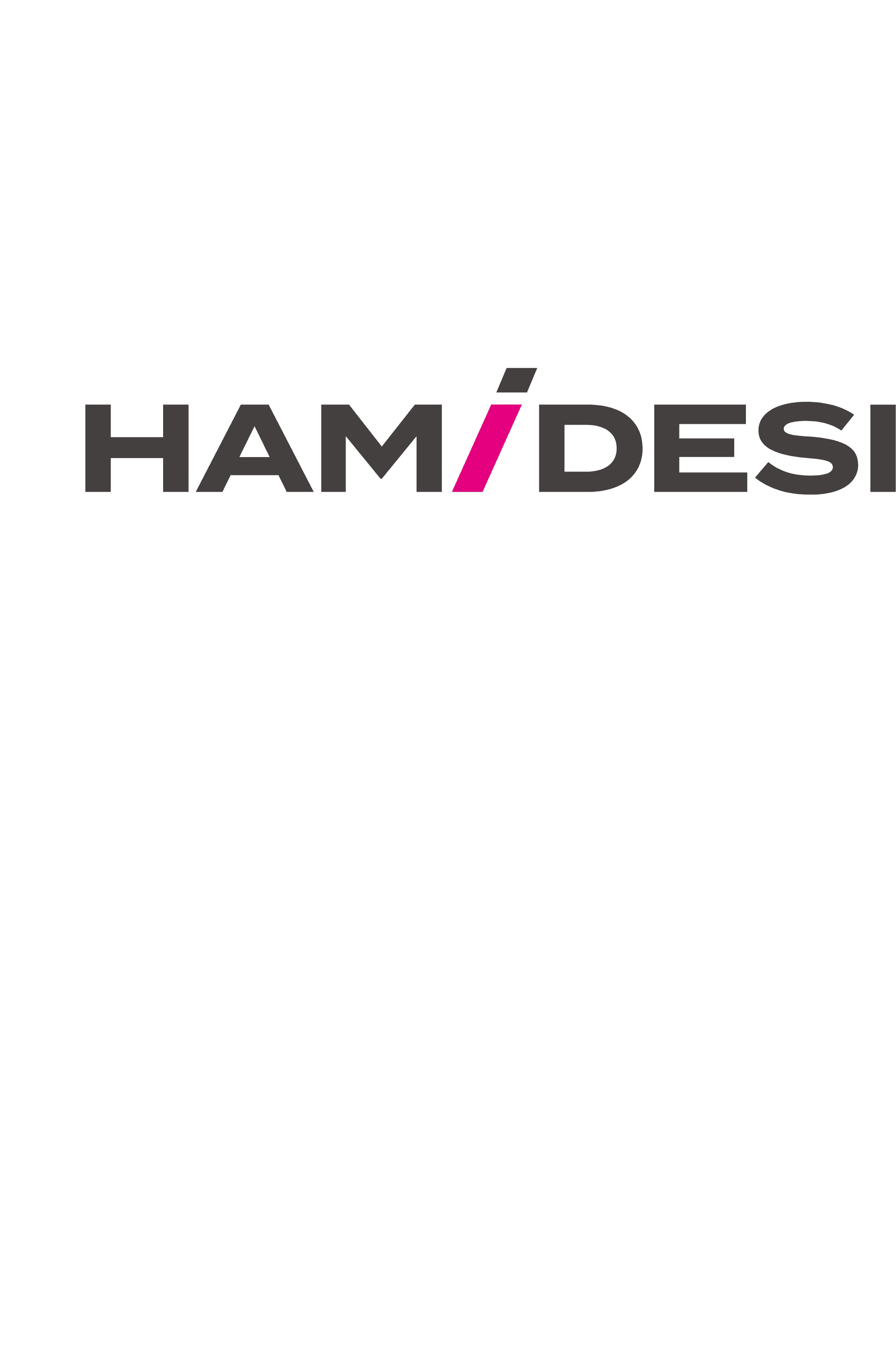 HAMIDESI 株式会社ハミデジ